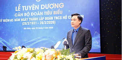CẬP NHẬT CUỘC THI SÁNG TẠO 04